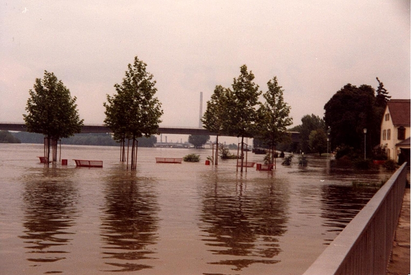 1983 Hochwasser 01